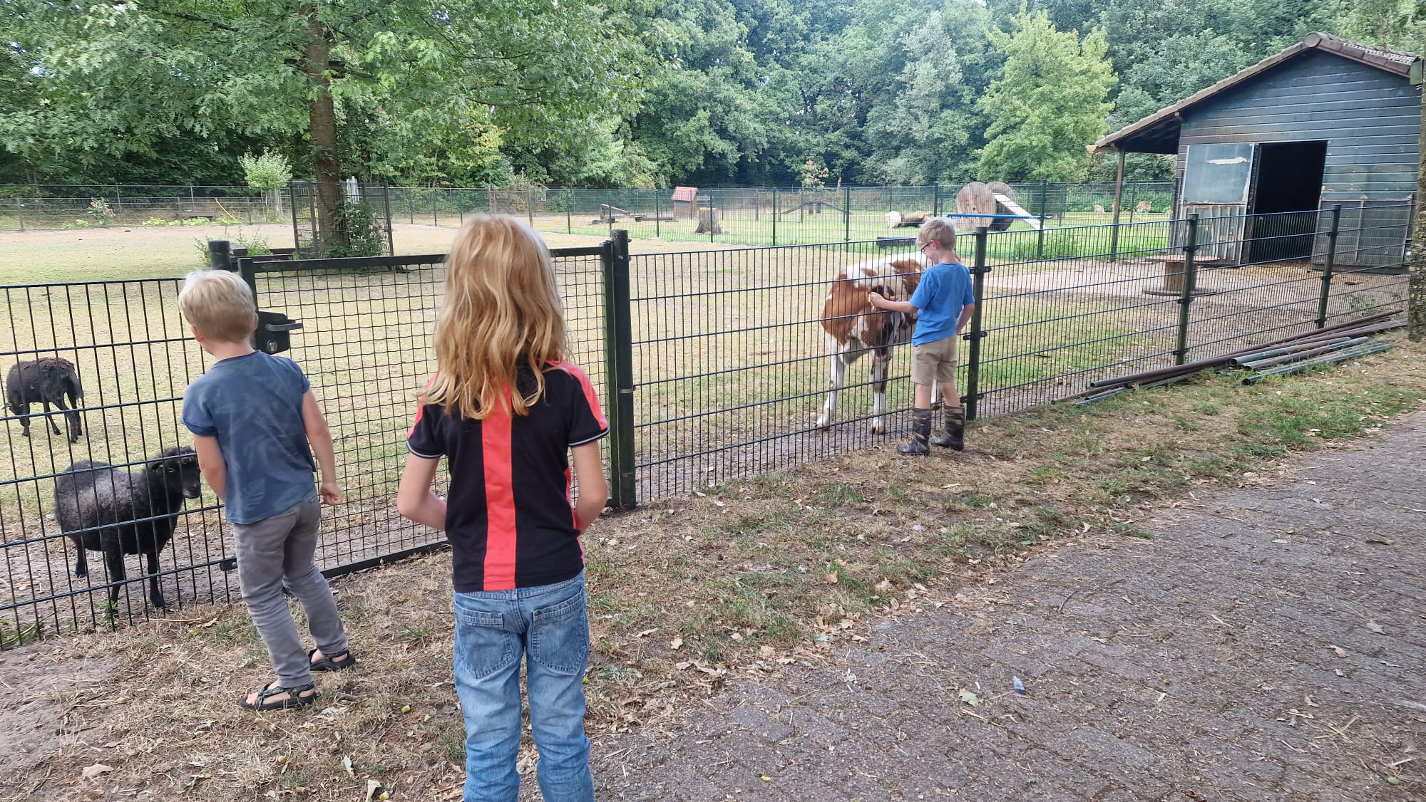 Interview steunouder Anita Land van Cuijk