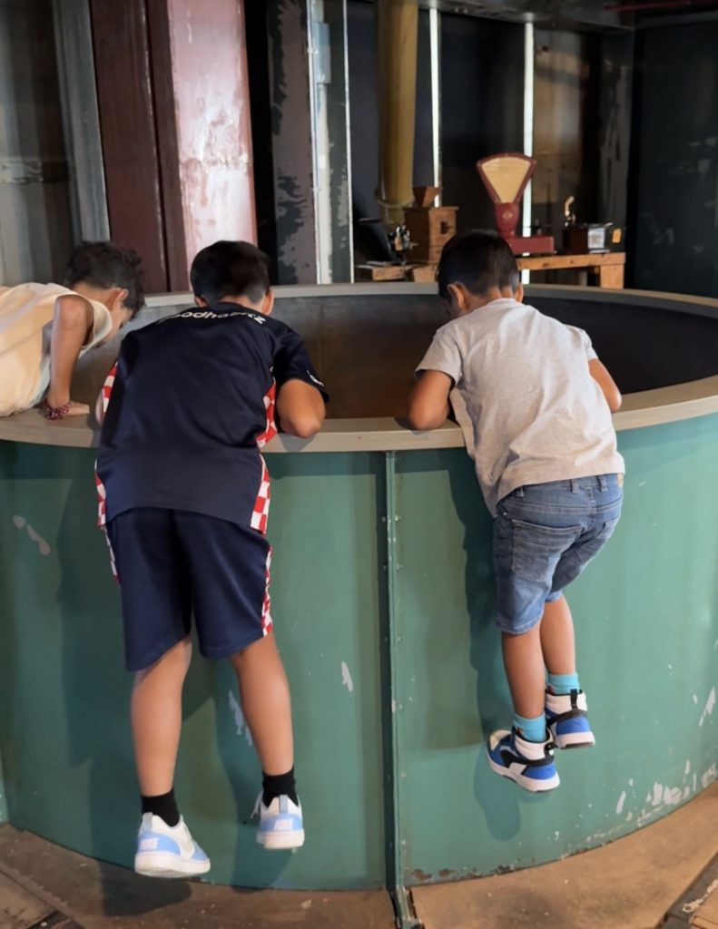 Steunouder Marieken Meierijstad